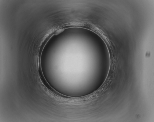 X0000096150011200801181213