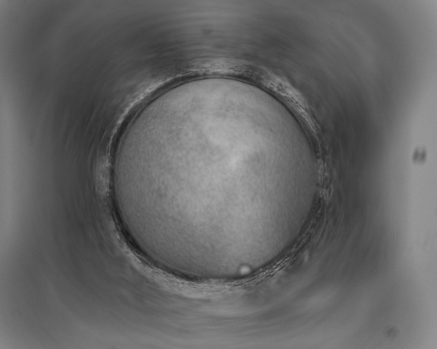 X0000096150012200801181213