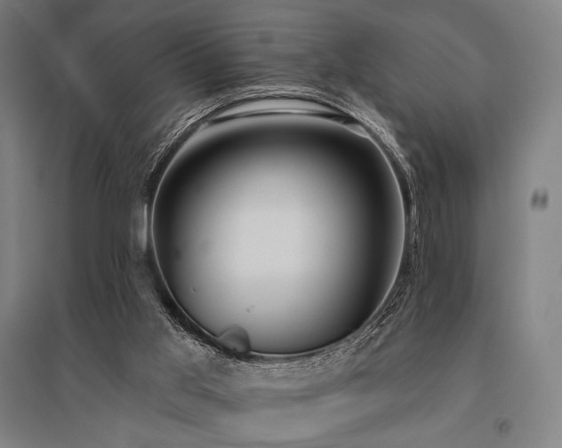 X0000096150013200801181212