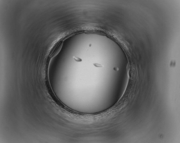 X0000096150015200801181212