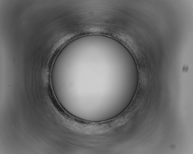 X0000096150016200801181212