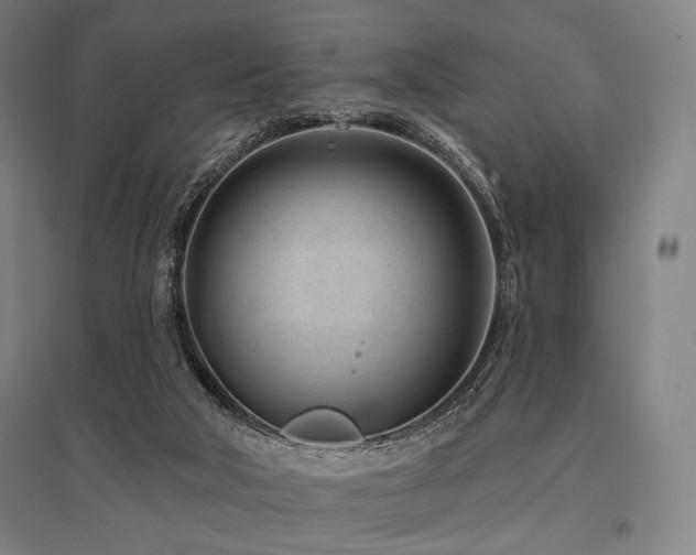 X0000096150018200801181212