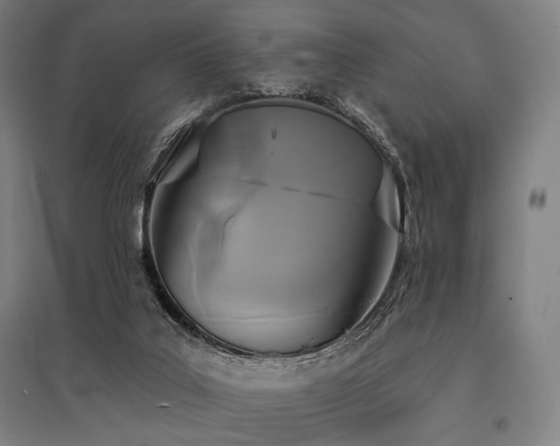 X0000096150019200801181212