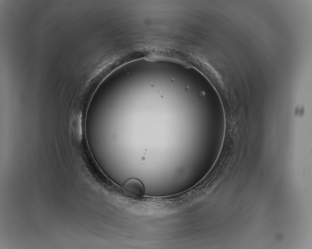 X0000096150020200801181212