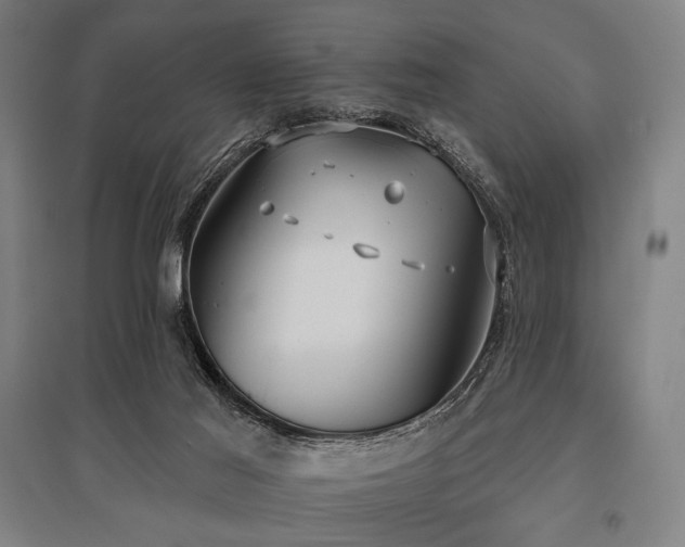 X0000096150021200801181212