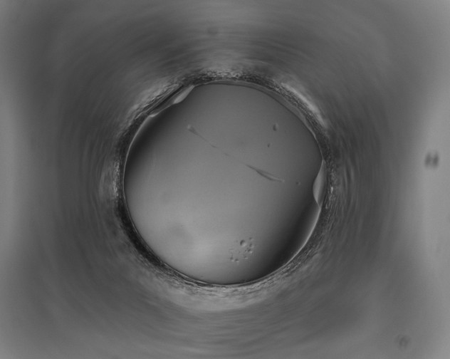 X0000096150023200801181212