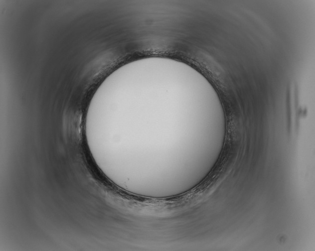 X0000096150024200801181212