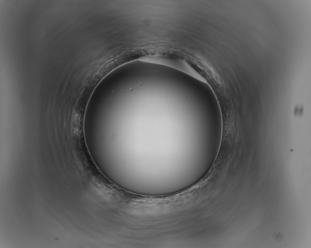 X0000096150025200801181212