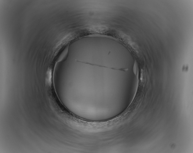 X0000096150027200801181212