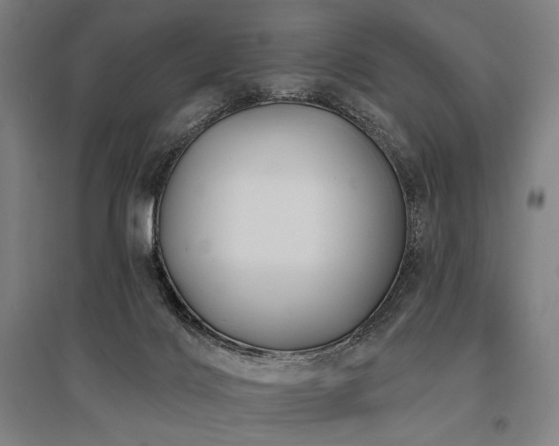 X0000096150028200801181212