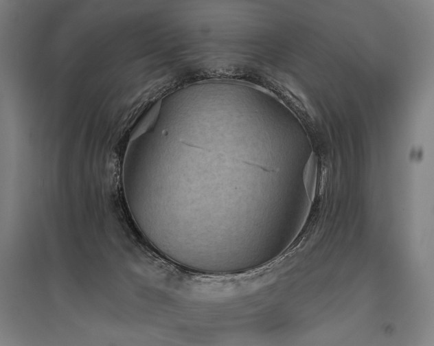X0000096150029200801181212