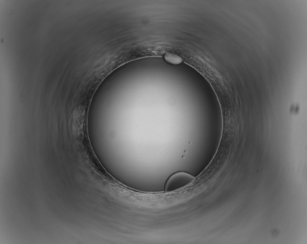 X0000096150030200801181212