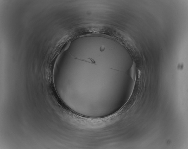 X0000096150031200801181212