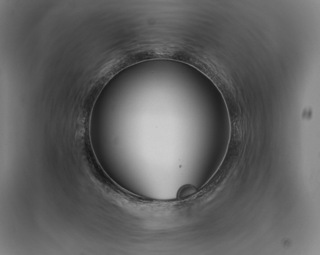X0000096150032200801181212