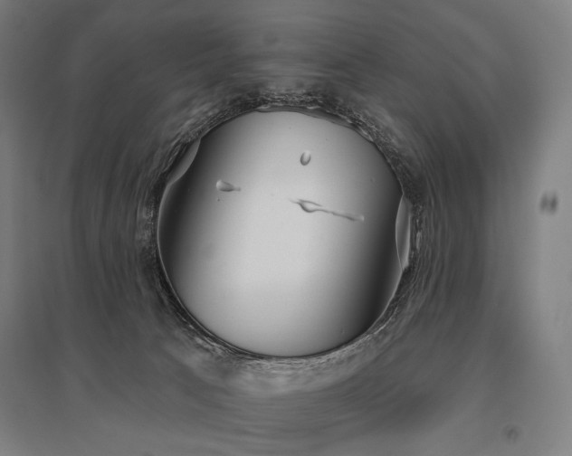 X0000096150033200801181212