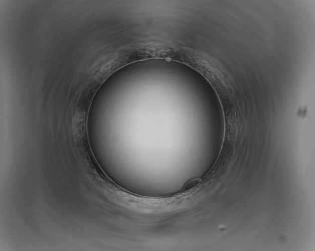 X0000096150034200801181212