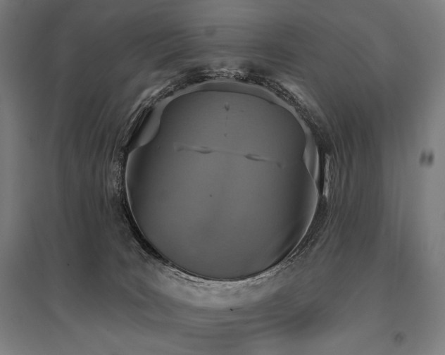 X0000096150035200801181212