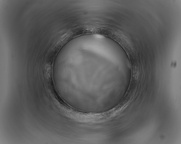 X0000096150036200801181212