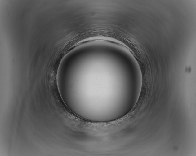 X0000096150037200801181212