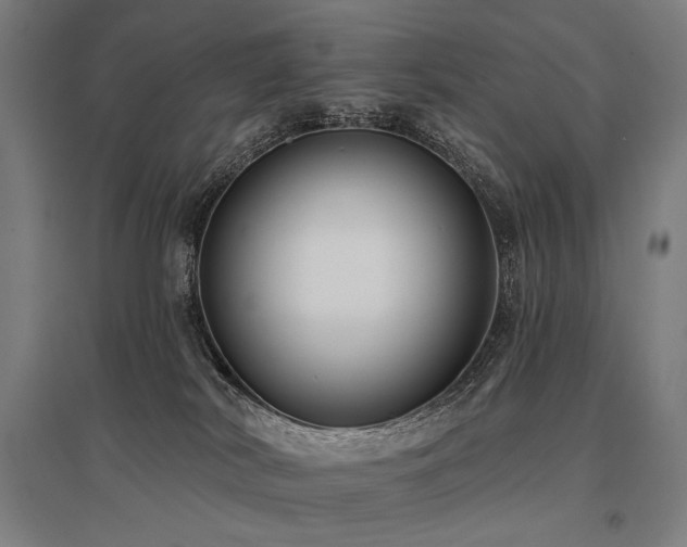 X0000096150038200801181212
