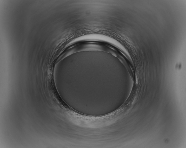 X0000096150039200801181212