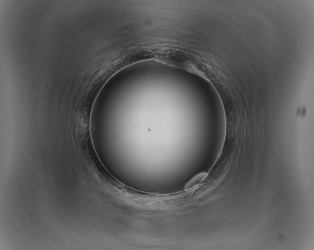X0000096150040200801181212