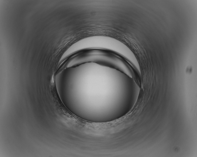 X0000096150041200801181212