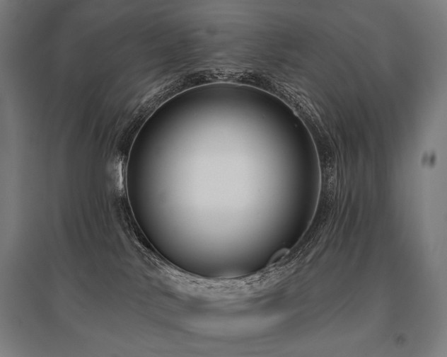 X0000096150042200801181212
