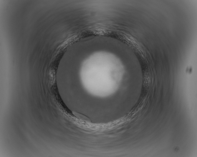 X0000096150043200801181212