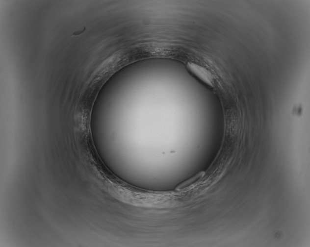 X0000096150044200801181212