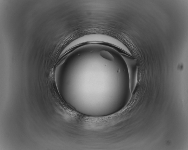 X0000096150045200801181212