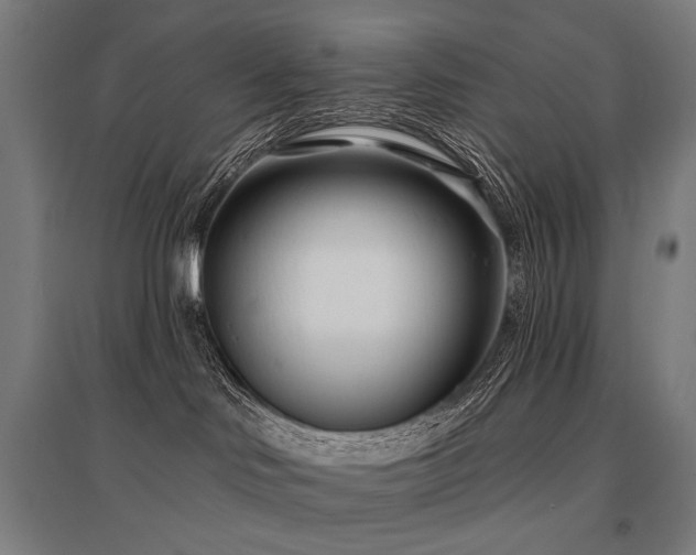 X0000096150046200801181212