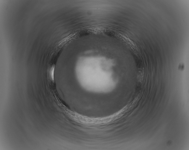 X0000096150047200801181212