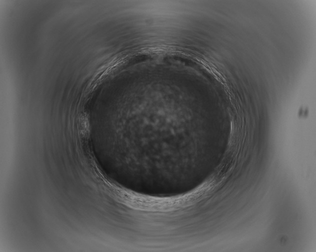 X0000096150048200801181212