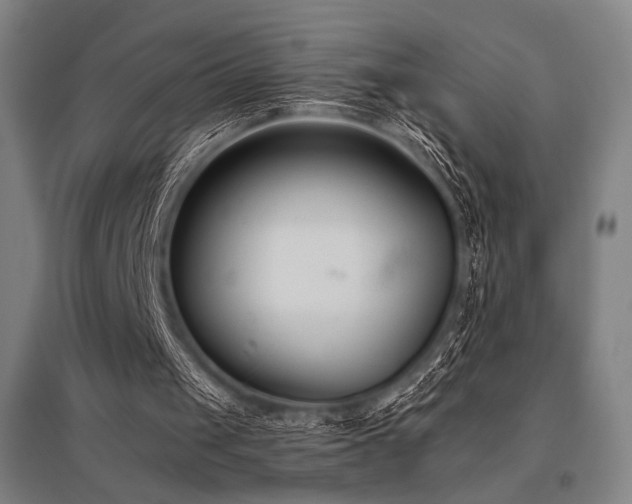 X0000096150049200801181211