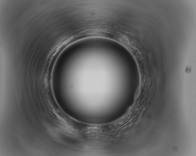 X0000096150050200801181211