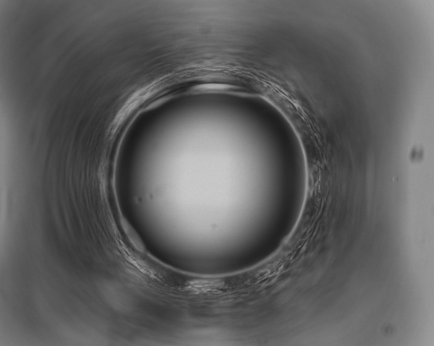 X0000096150051200801181211