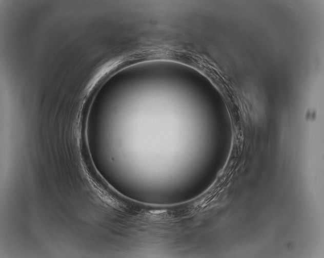 X0000096150054200801181211