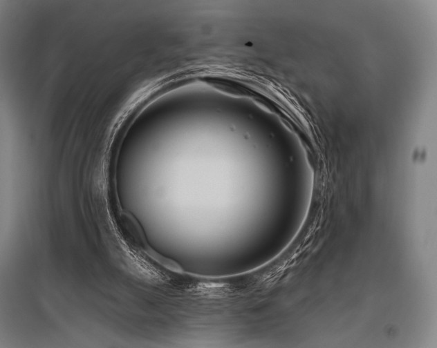 X0000096150055200801181211