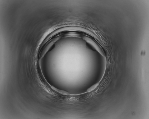 X0000096150056200801181211
