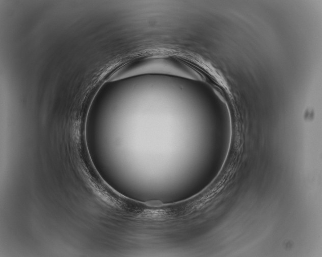 X0000096150057200801181211
