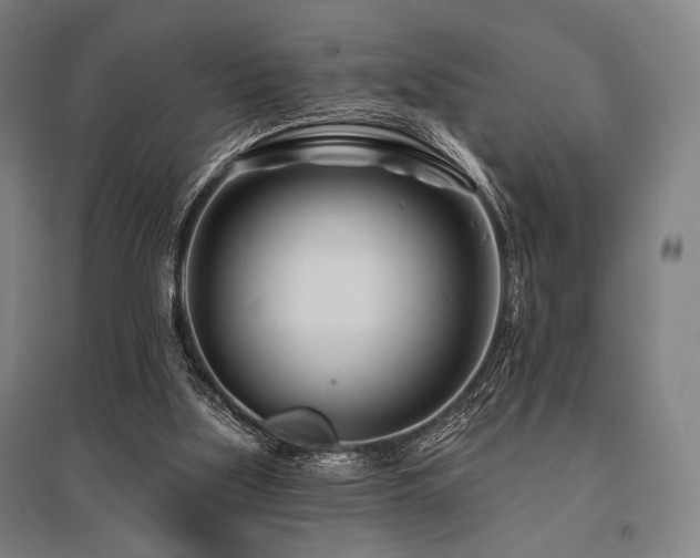 X0000096150059200801181211