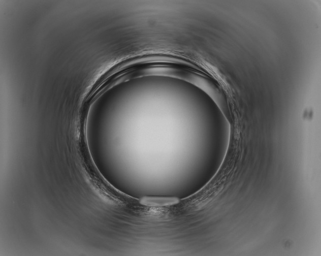 X0000096150060200801181211