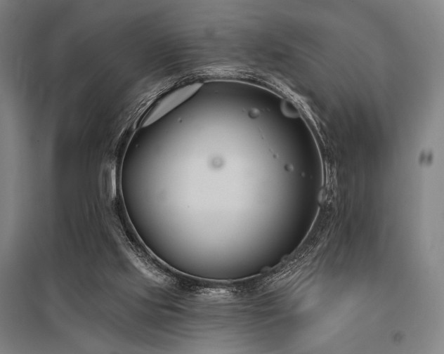 X0000096150061200801181212