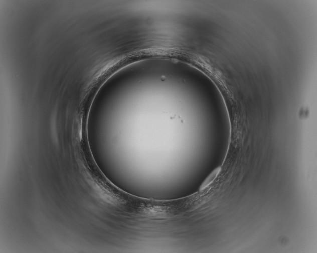 X0000096150062200801181212