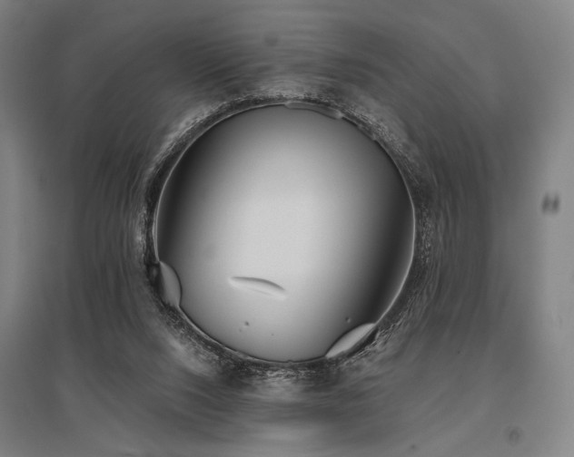 X0000096150064200801181212