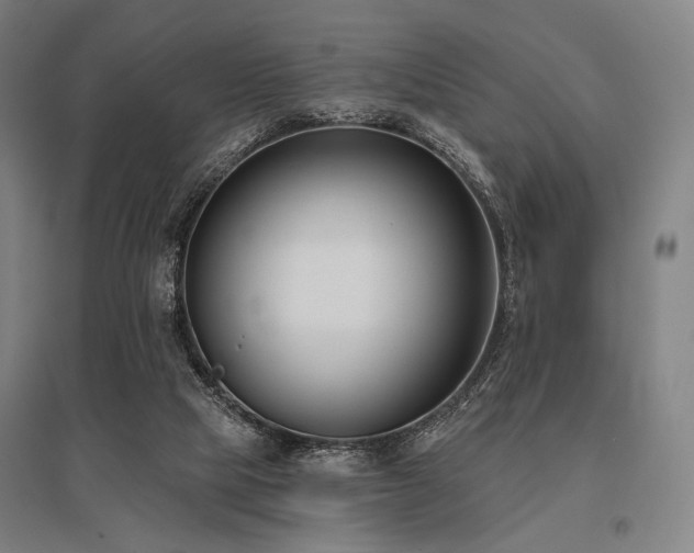 X0000096150065200801181212