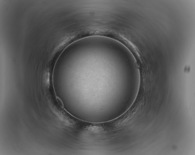 X0000096150067200801181212