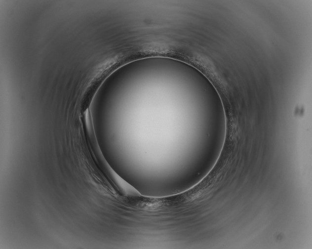 X0000096150068200801181212