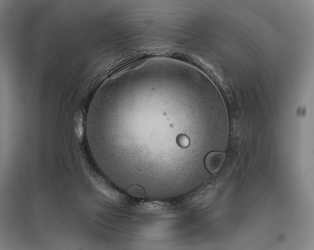 X0000096150069200801181212